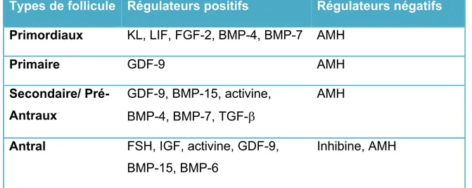 Tableau I: Résumé des différents régulateurs positifs et négatifs dans le  développement des follicules ovariens
