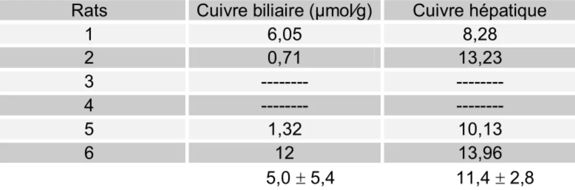 FIGURE 11: Courbes de survie 