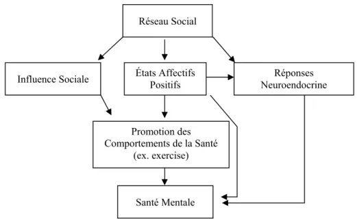 Figure 1.  Modèle Main effect des relations sociales et santé mentale 5 .