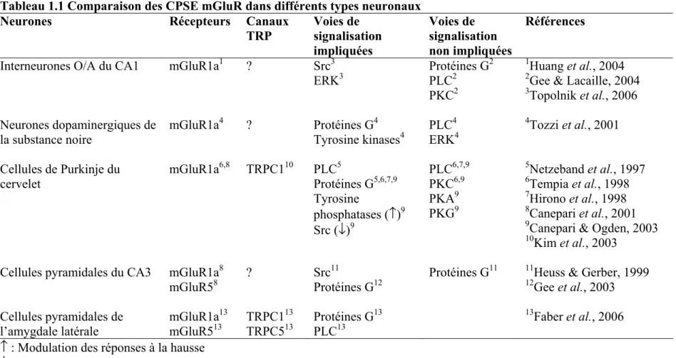 Tableau 1.1 Comparaison des CPSE mGluR dans différents types neuronaux 