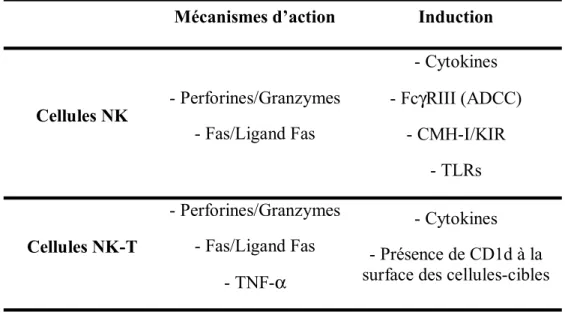 Table I. Résumé des mécanismes de cytotoxicité des cellules NK et NK-T.  Mécanismes d’action  Induction 