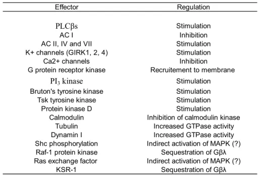Table I.II : Effecteurs activés par les protéines G ȕȖ (Adapté de (23)) 