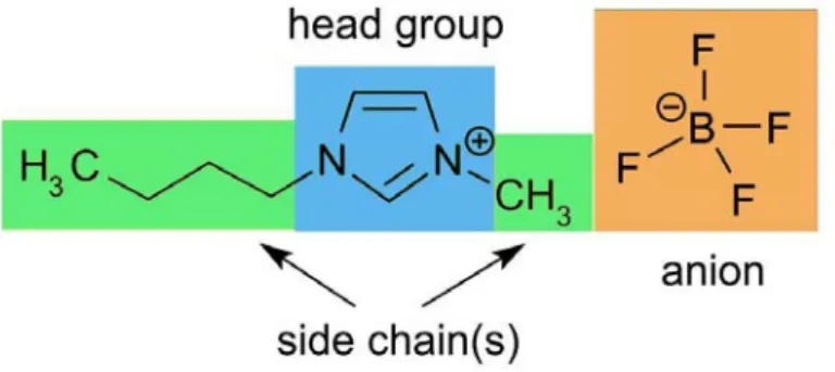 Figure 3-1. The structural elements of the ionic liquid [bmim]BF 4 : head group, side  chain and anion