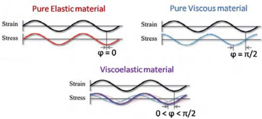 Figure 10  .Schematic illustration of strain response to stress for elastic, viscous and viscoelastic materials