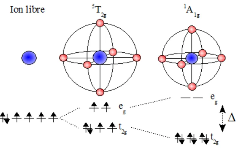 Figure 3.0.1: Levée de dégénéres
en
e et o

upation orbitalaire en fon
tion du 
hamp de
