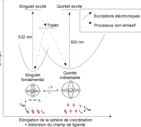 Figure 3.0.6: Illustration d'un mé
anisme LIESST dans le 
as d'un 
omplexe de F e 2+