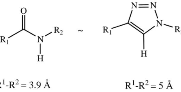 Figure 14. Similitudes topologiques et électroniques entre les unités amides et 1,2,3-triazole [4]