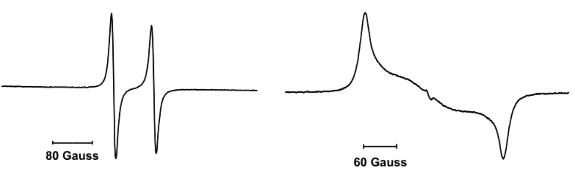 Figure  9.  Spectres  RPE  du  radical  45  en  solution  dans  le  THF,  enregistré  à  température ambiante (gauche) et en solution congelée à 100K (droite)