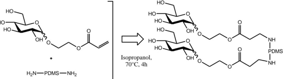 Figure 6. Addition de Michael d’un aminopolysiloxane téléchélique avec un acrylate de Glucosyloxyéthyle 