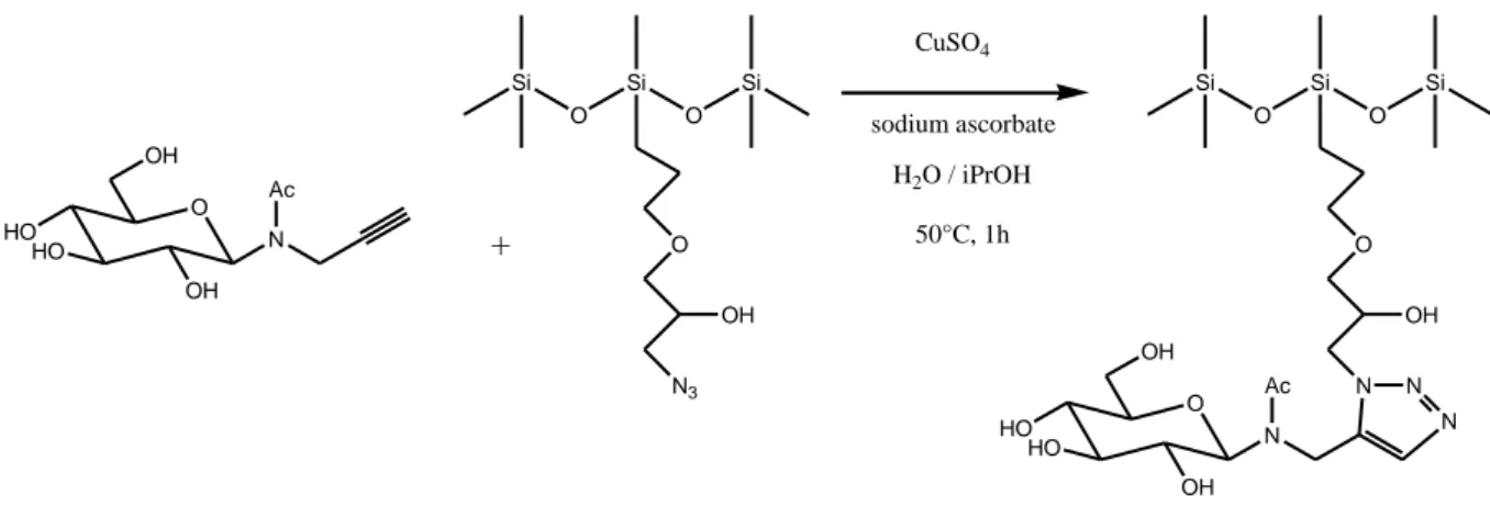 Figure 23. Greffage de sucres non protégés sur des azido-polysiloxanes par « click-chemistry »