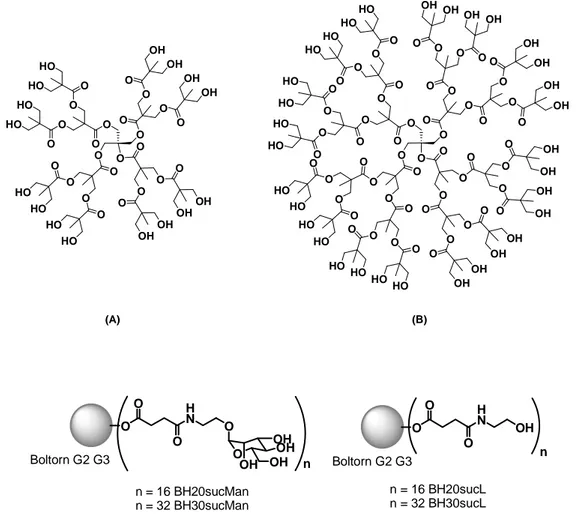 Figure I.28 Structure chimique des dendrimères de type Boltorn : (A) de deuxième génération, Boltorn™H20 et (B)  de troisième génération, Boltorn™H30