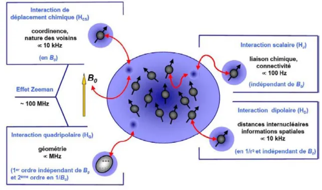 Fig. 1.3: Représentation des différentes interactions magnétiques internes subies par les noyaux