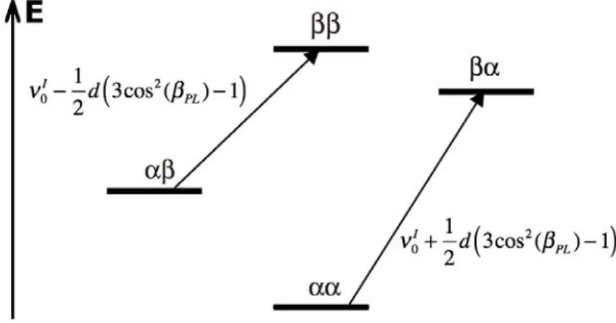 Fig. 1.11: Transitions permises sous l’effet du couplage dipolaire. La transition αα −→ βα correspondant à la fréquence ν I 0 + 1 2 d (3 cos 2 β P L − 1) et la transition αβ −→ ββ à la fréquence ν I 0 − 1 2 d (3 cos 2 β P L − 1)