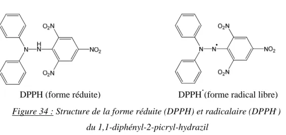 Figure 34 : Structure de la forme réduite (DPPH) et radicalaire (DPPH . )   du 1,1-diphényl-2-picryl-hydrazil  