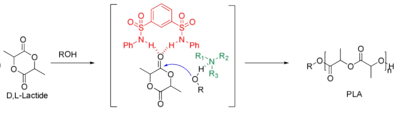 Figure 11 : ROP du lactide catalysée par un couple bisulfonamide/amine tertiaire