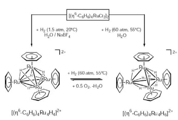 Fig. 3.9: Formation de agrégats tétranucléaires arène-ruthénium par hydrogénation du complexe [(η 6 − C