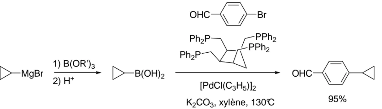 Figure II-7 - Synthèse et couplage de l’acide cyclopropyle boronique en présence de chlorure  d’allyle palladium et d’une tétraphosphine