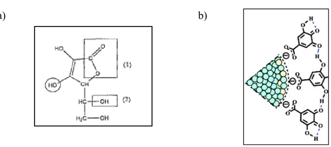 Figure I. 11 : La formule semi-développée de l'acide ascorbique.  Les propriétés acido-