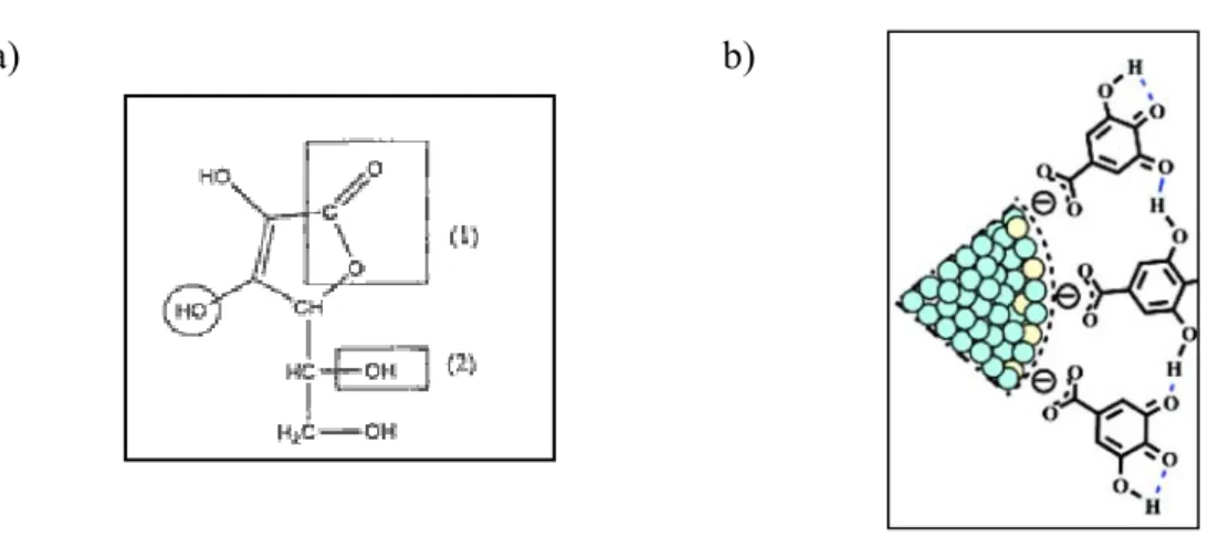 Figure I. 11 : La formule semi-développée de l'acide ascorbique.  Les propriétés acido-