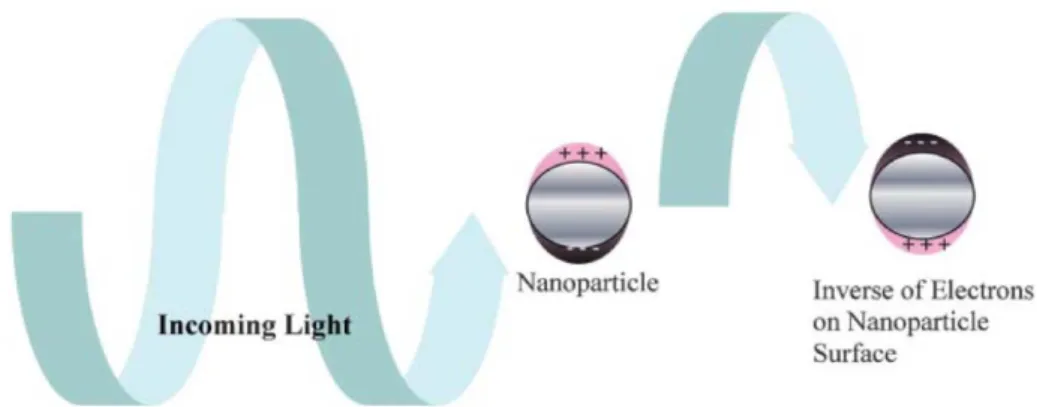 Figure II. 4 : Origine de la résonance plasmon de surface due à l'interaction cohérente des 