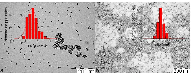 Figure II-12 : Solution de nanoparticules synthétisées à partir de l’amidinate de cuivre dans le toluène en  présence de dodécylamine