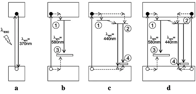 Figure I-9 : Représentation schématique des niveaux d’énergie associés à la  luminescence de ZnO