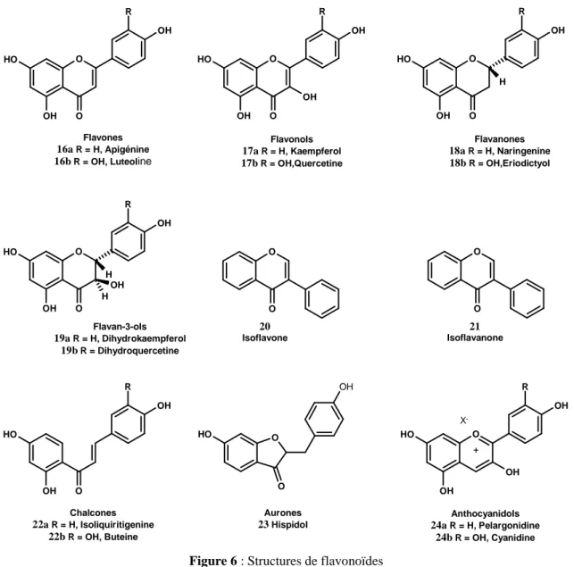Figure 6 : Structures de flavonoïdes 