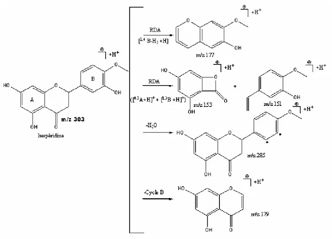 Fig. 39 : Schéma de fragmentation en mode positif par ESI de l’hespéridine. 