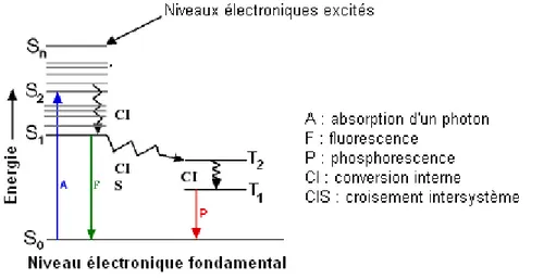 Figure 17 : Diagramme de Jablonski décrivant le principe de la fluorescence 