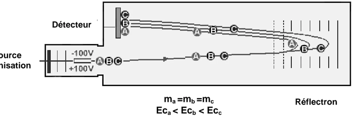 Figure 24 : Schéma du principe de l'analyseur TOF en mode réflectron ma =mb =mcEca &lt; Ecb &lt; EccRéflectron Source d’ionisation Détecteur  
