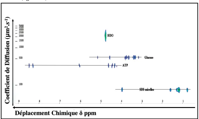 Figure 1-5. Spectre RMN DOSY 1 H 500 MHZ d’un échantillon standard qui se compose de glucose, ATP et 