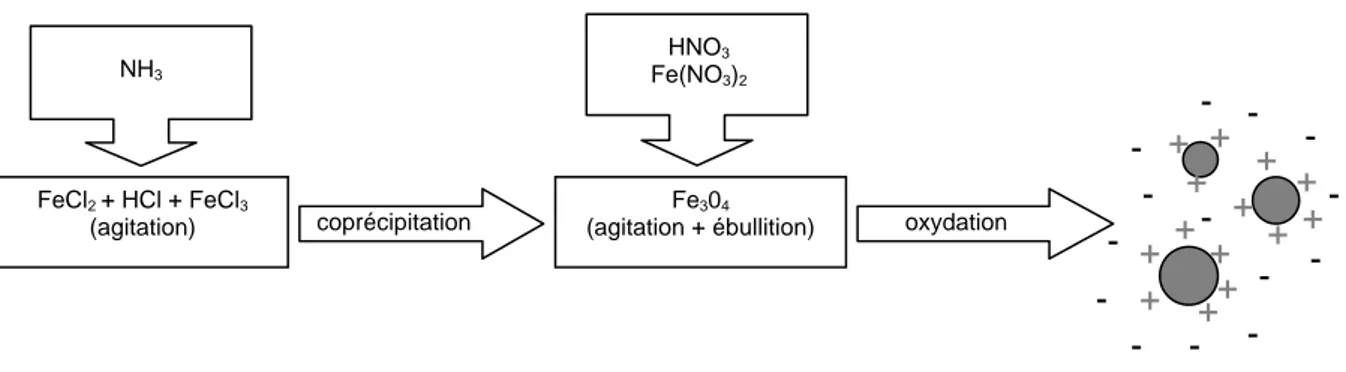 Figure 41 Principe de la synthèse d'un ferrofluide ionique à base de maghémite 