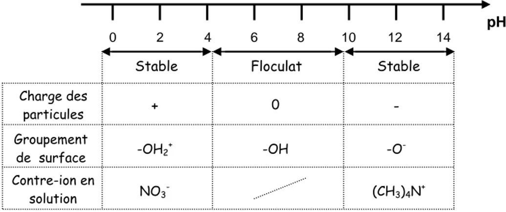 Figure 42 Stabilité des suspensions de maghémite en fonction du pH 