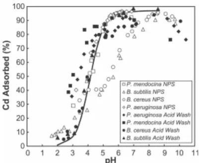 Figure 8: Adsorption du Cd pour diverses espèces de bactéries Gram positives  et  Gram  négatives,  non  traitées  (en  blanc)  et  soumises  à  un  lavage  acide  (en  noir)