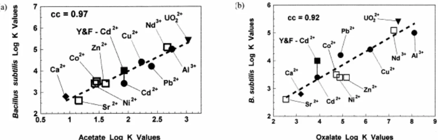 Figure  9  :Corrélation  entre  les  log  K  des  groupes  carboxyliques  de  Bacillus  subtilis et les log K du ligand acétate (a) et oxalate (b) (FEIN et al., 2001) 
