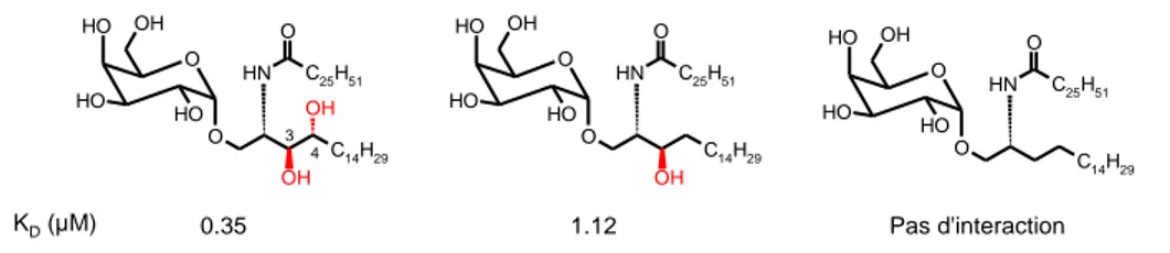 Figure 14 : Structure de glycolipides utilisés pour l'étude des groupements hydroxyles