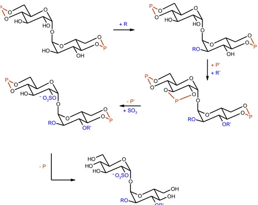 Figure  19 :  Schéma  de  synthèse  d’un  sulfoglycolipide  diacylé.  R  et  R’  désignent  des 