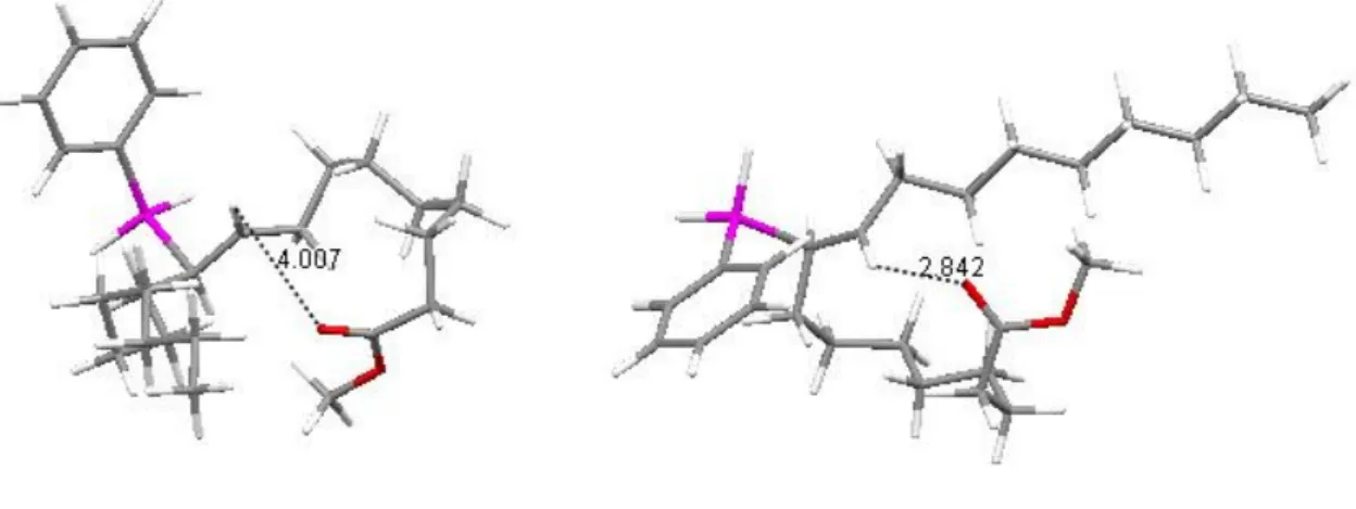 Tableau  2:  Energies  relatives  et  distances  entre  l’hydrogène  du  centre  radicalaire  et  l’oxygène du carbonyle des différents radicaux possibles