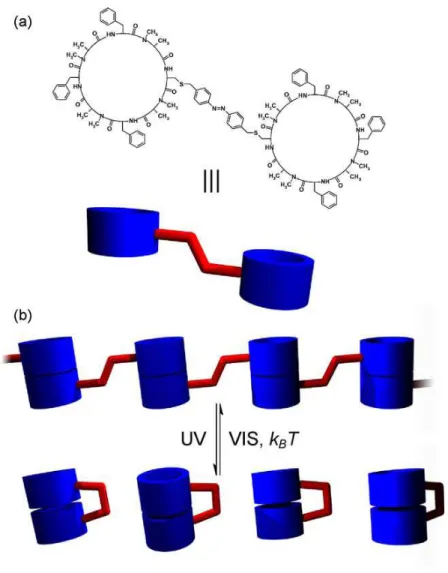 Figure 18 : Structure du dipeptide cyclique et rupture de la structure supramoléculaire par isomérisation