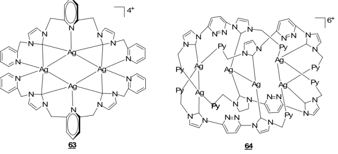 Figure 22 : représentation des complexes 63-64. 