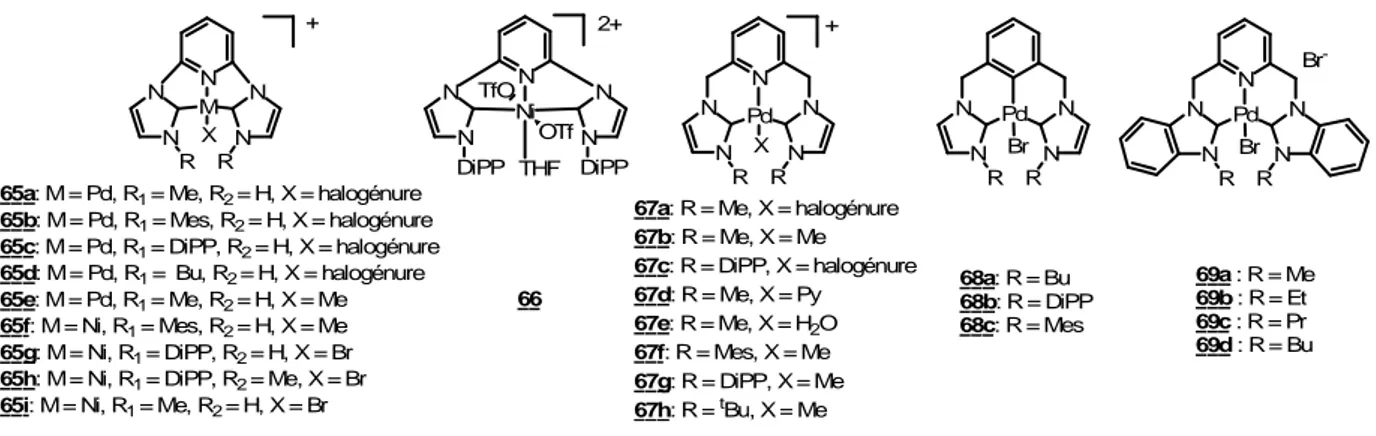Figure 23 : complexes de palladium et de nickel à ligand rigide tridente. 