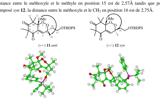 Figure 2 : Effets  NOE  et modèles moléculaires (CVFF) pour les endoperoxydes méthylés 11 et 12 