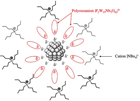 Figure 1.6 Représentation schématique de nanoparticules (Rh, Ir)   stabilisées par le polyoxoanion (P 2 W 15 Nb 3 O 62 ) 9- 