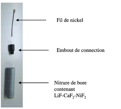 Figure II-2 : Photographie de l’électrode de référence utilisée pour les expériences d’extraction