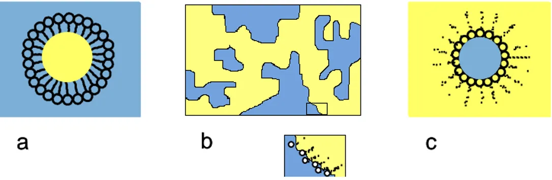 figure I-43 : Représentation schématique des trois structures de microémulsions les plus  communément rencontrées