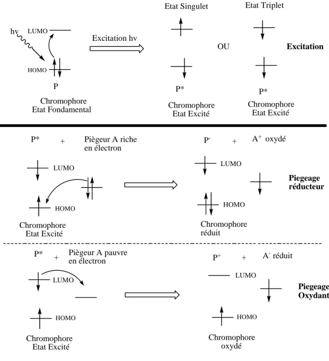 Figure 5 : Piégeage de l’état excité d’un chromophore photosensibilisant P* par   