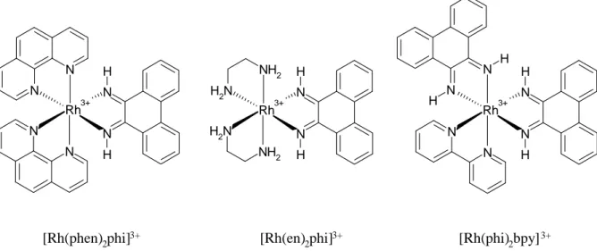 Figure  I-19 : Complexes de rhodium(III) capable induire la coupure de l’ADN par l’arrachement de  l’hydrogène 3’ du désoxyribose 