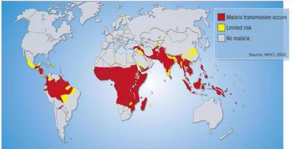 Table 2: Nobel Prizes in malaria 