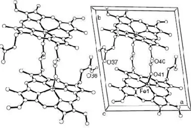 Figure 4: Two unit cells of the crystal structure of  ββββ -hematin dimers from Pagola et al