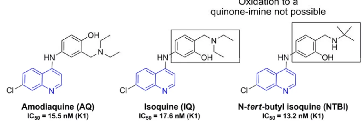 Figure 7: Oxidation of amodiaquine to a reactive quinine-imine metabolite 